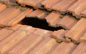 roof repair Broom Hill